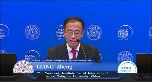 亚洲和平会议视频,共筑区域和谐与稳定之桥