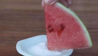 日韩吃西瓜蘸盐的视频在线观看,西瓜蘸盐，口感颠覆传统味蕾体验