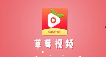 草莓在线看视频在线观看,甜蜜滋味，尽享云端观影之旅