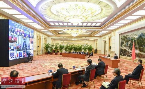 中日韩特别会议视频网站